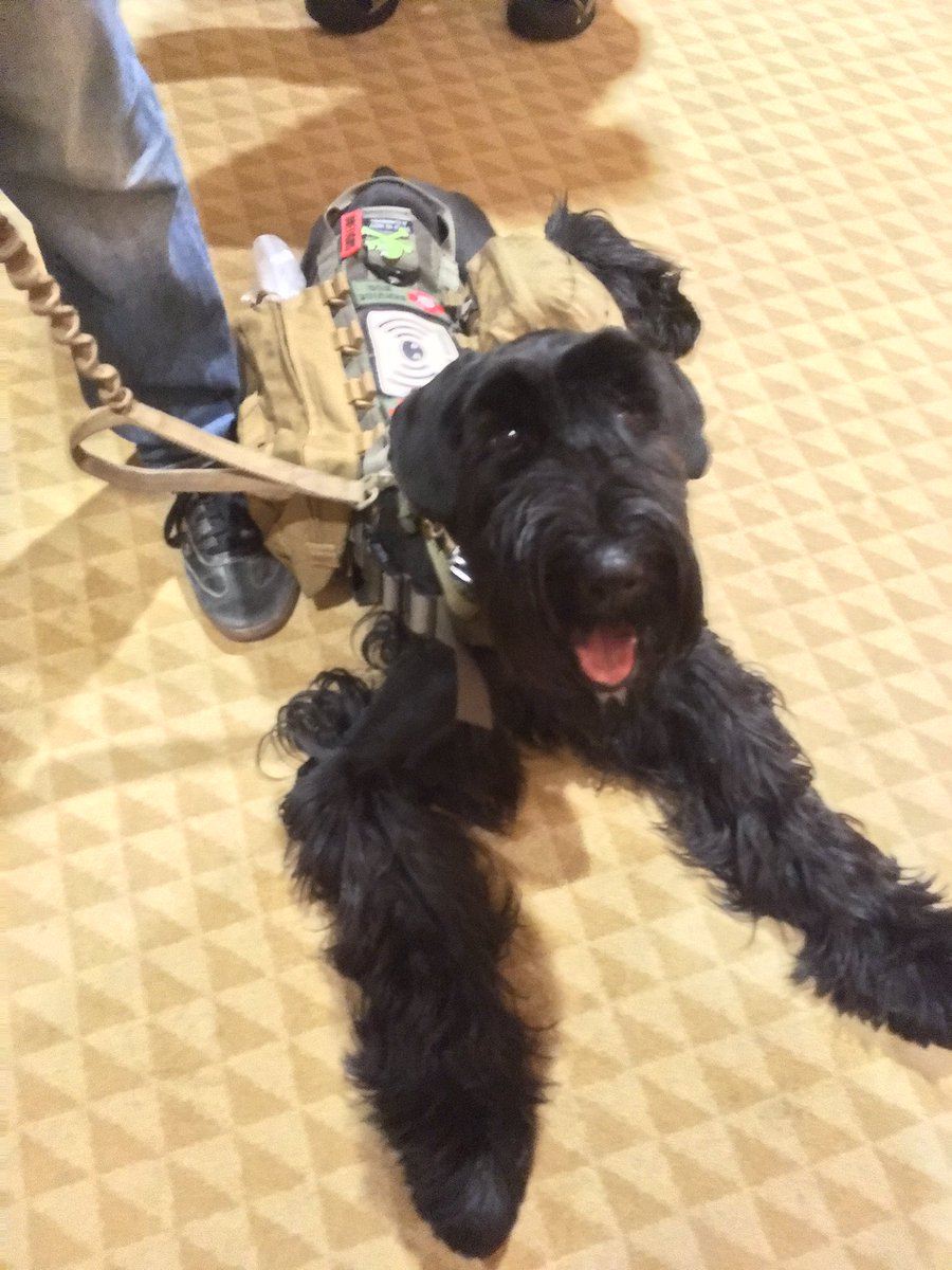 Neep McFarlane tweet media