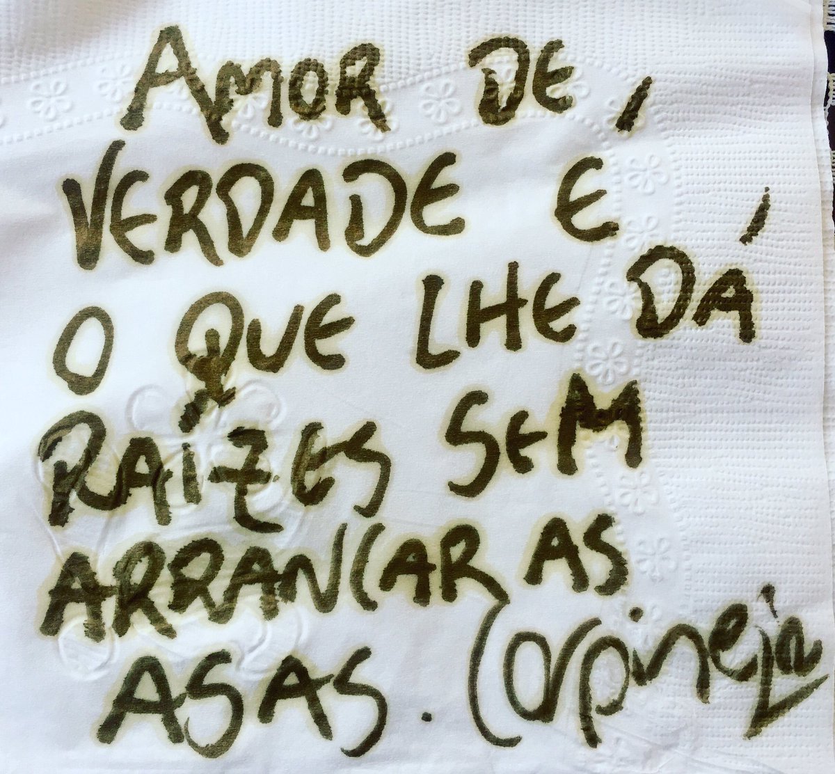 CARPINEJAR's tweet photo. Amor de verdade é o que lhe dá raízes sem arrancar as asas. https://t.co/cgi5fFk0or