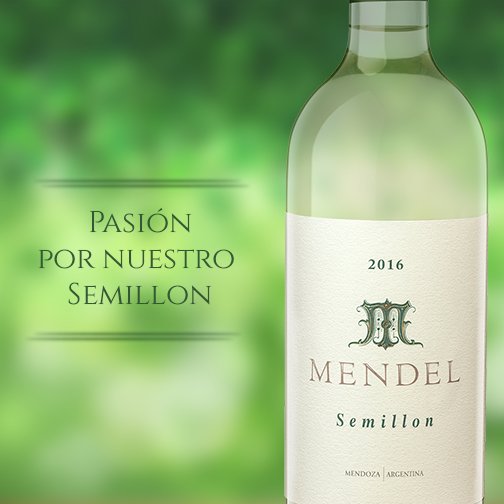MendelWines's tweet photo. Semillon: un varietal diferente, que despierta pasiones. https://t.co/okjwrGVJK2