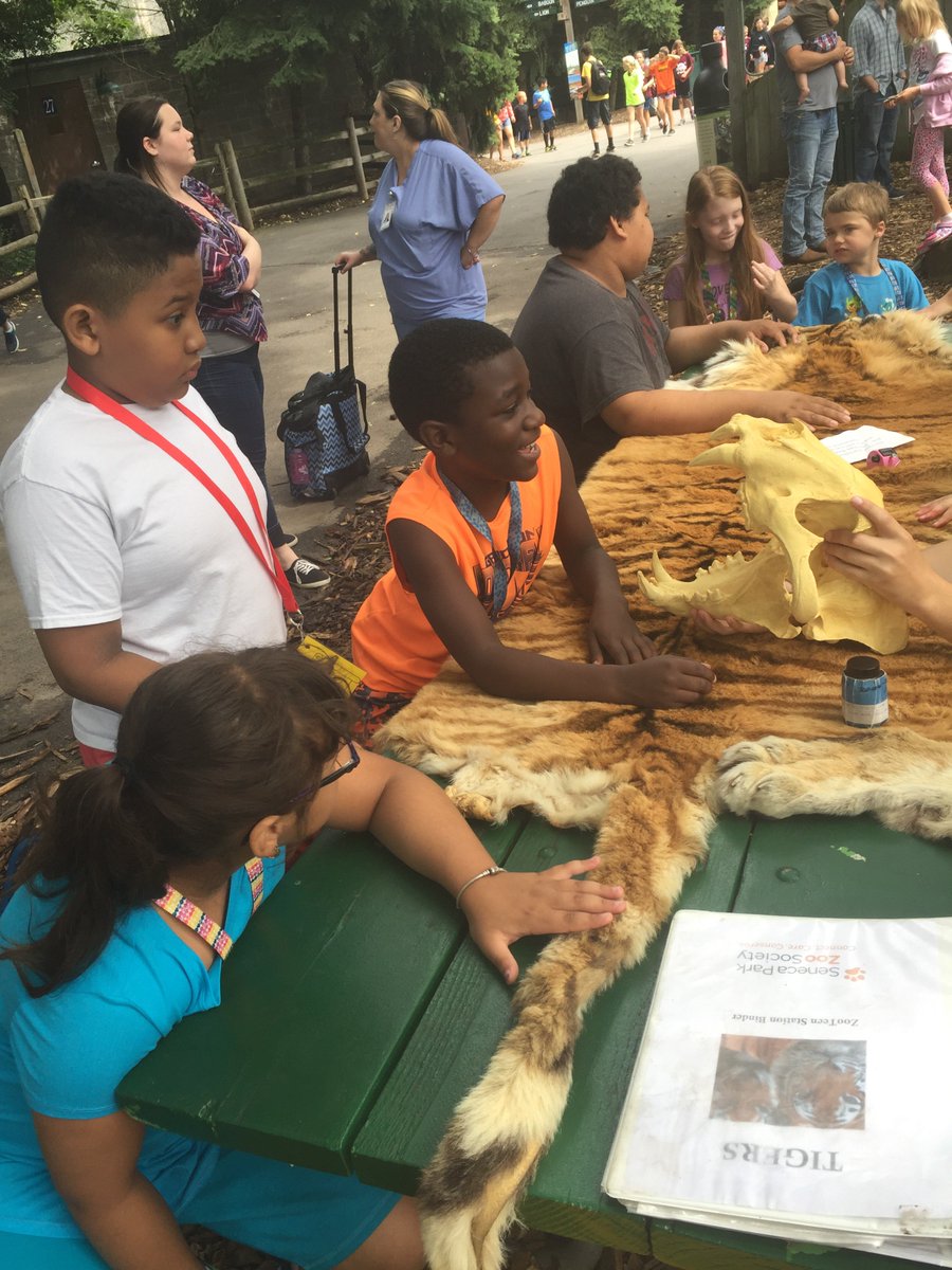 NancyKehoe3's tweet photo. #senecaparkzoo #greececsd #greeceESY https://t.co/Xwak23gCD7