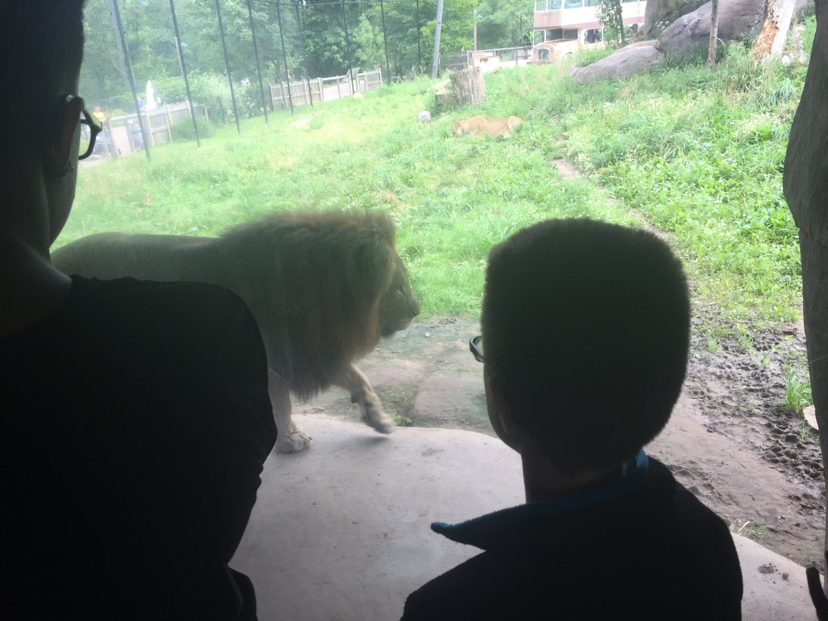 NancyKehoe3's tweet photo. #SenecaParkZoo #GreeceCSD #GreeceESY https://t.co/XI5rN8gOo0