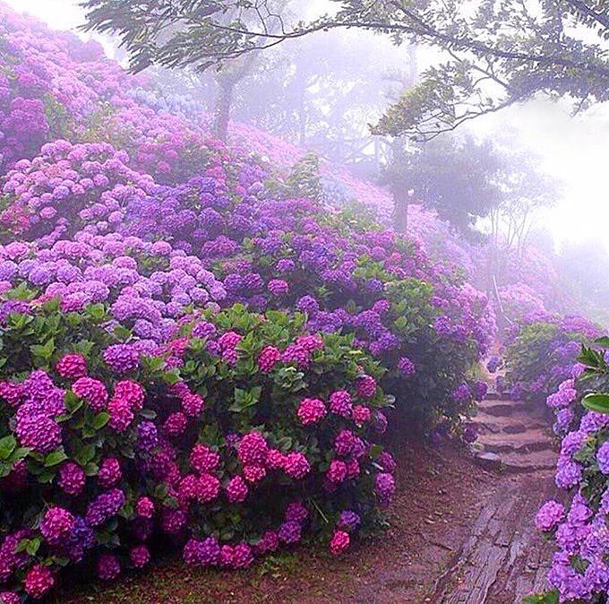 PardueSuzanne's tweet image. The best path to happiness is
thankfulness...

- Anthony Douglas Williams
#happiness #thankfulness