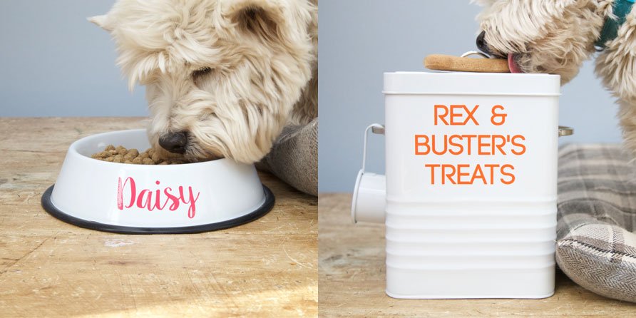 COMPETITION TIME!

Win a personalised dog bowl and treat tin for your pooch! Enter here:
the10thing.com/win/win-a-pers…

#win #freebiefriday