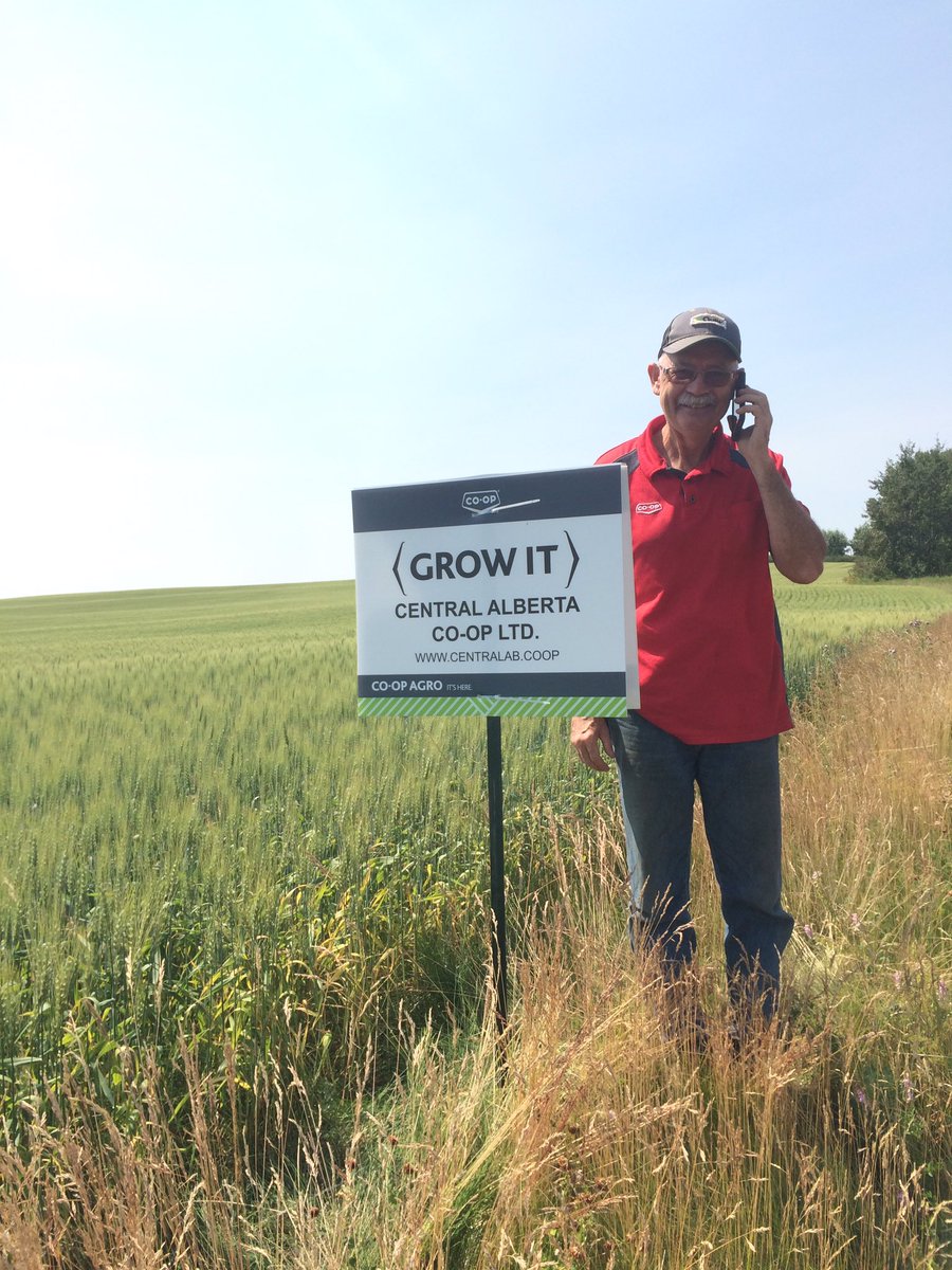 Danielle Chamberland tweet media