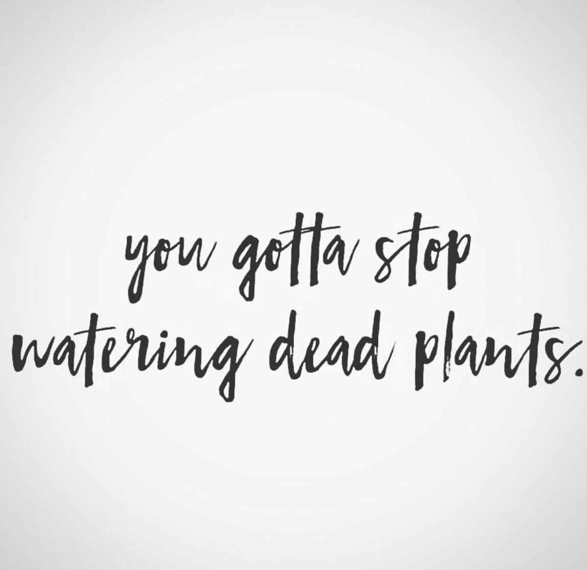 artesian_wrc's tweet image. Sometimes it's important take a look around &amp;amp; realize when you need to #MoveForward and #MoveOn 🌻 #sobriety #growth #growingup