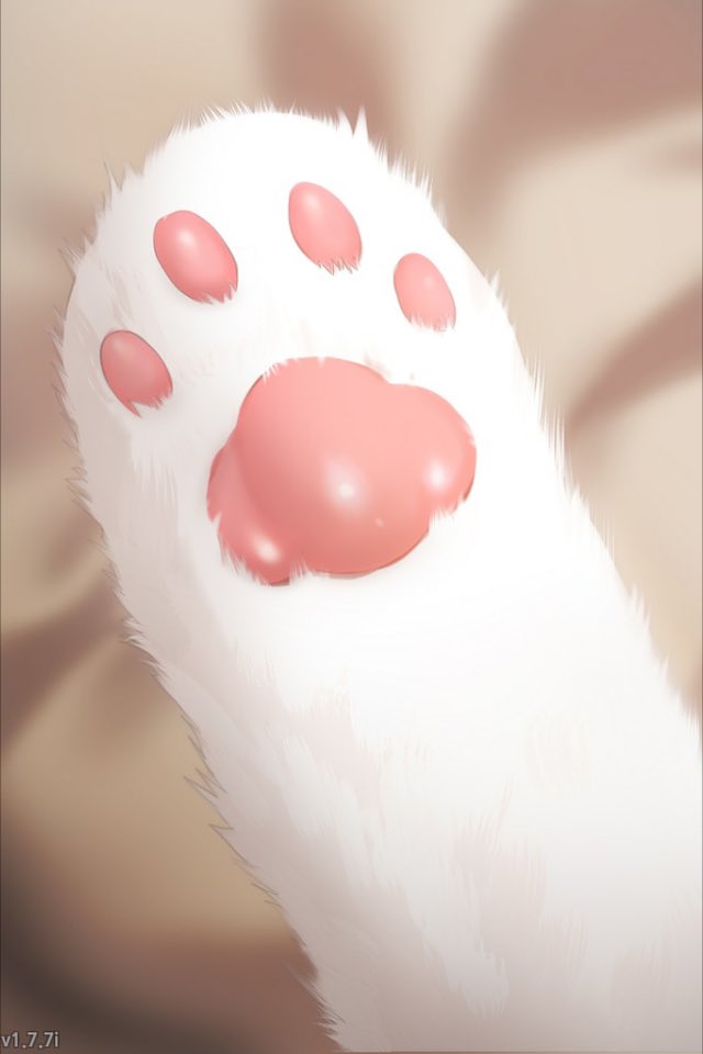 ” Paw pads, so cute and soft ~ ”