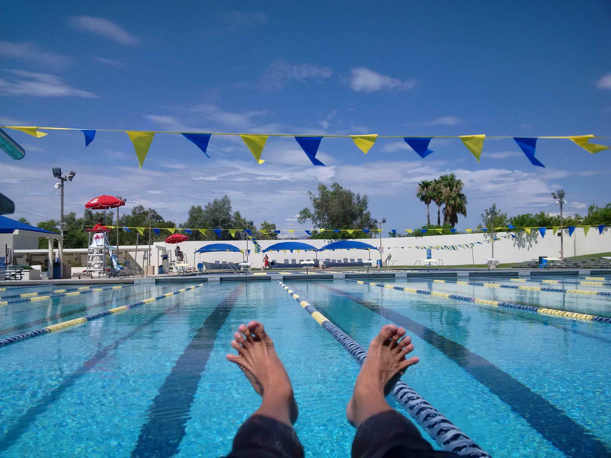 Ottawa Swim Masters on Twitter: "Better swim #CactusParkAquaticCenter # ...