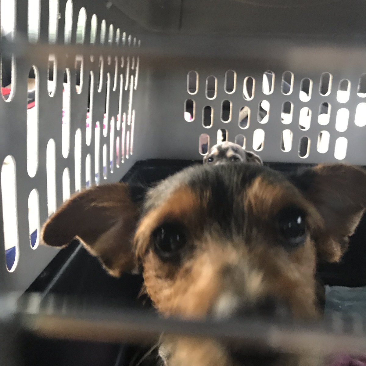 i'm gonna miss you my little bby :,(