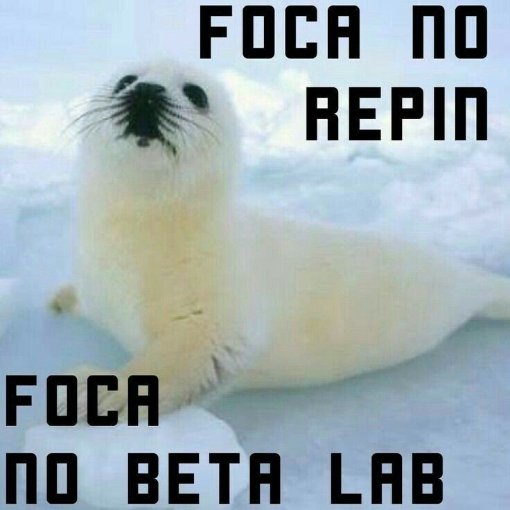 Karinaaatimbeta's tweet photo. #focanorepin https://t.co/Cvln9Wnz0M