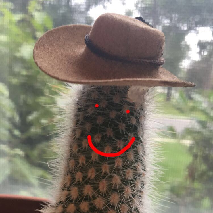 tonizmrusso's tweet photo. #NewProfilePic #shadequeen I feel as though this pic really encapsulates my person! #cactusqueen #timekeeper https://t.co/uwVQ7auNPg