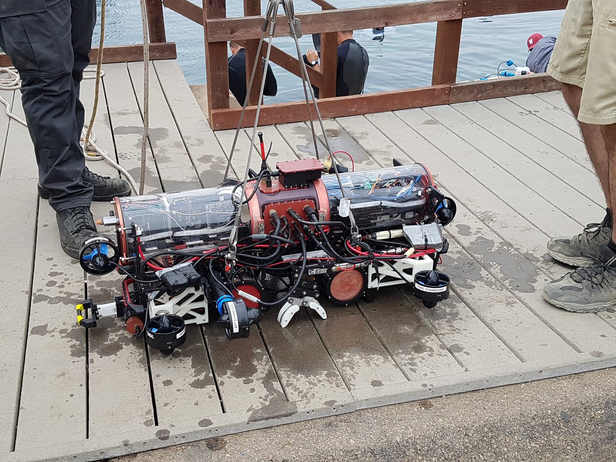 Artemis is going in for semi finals!