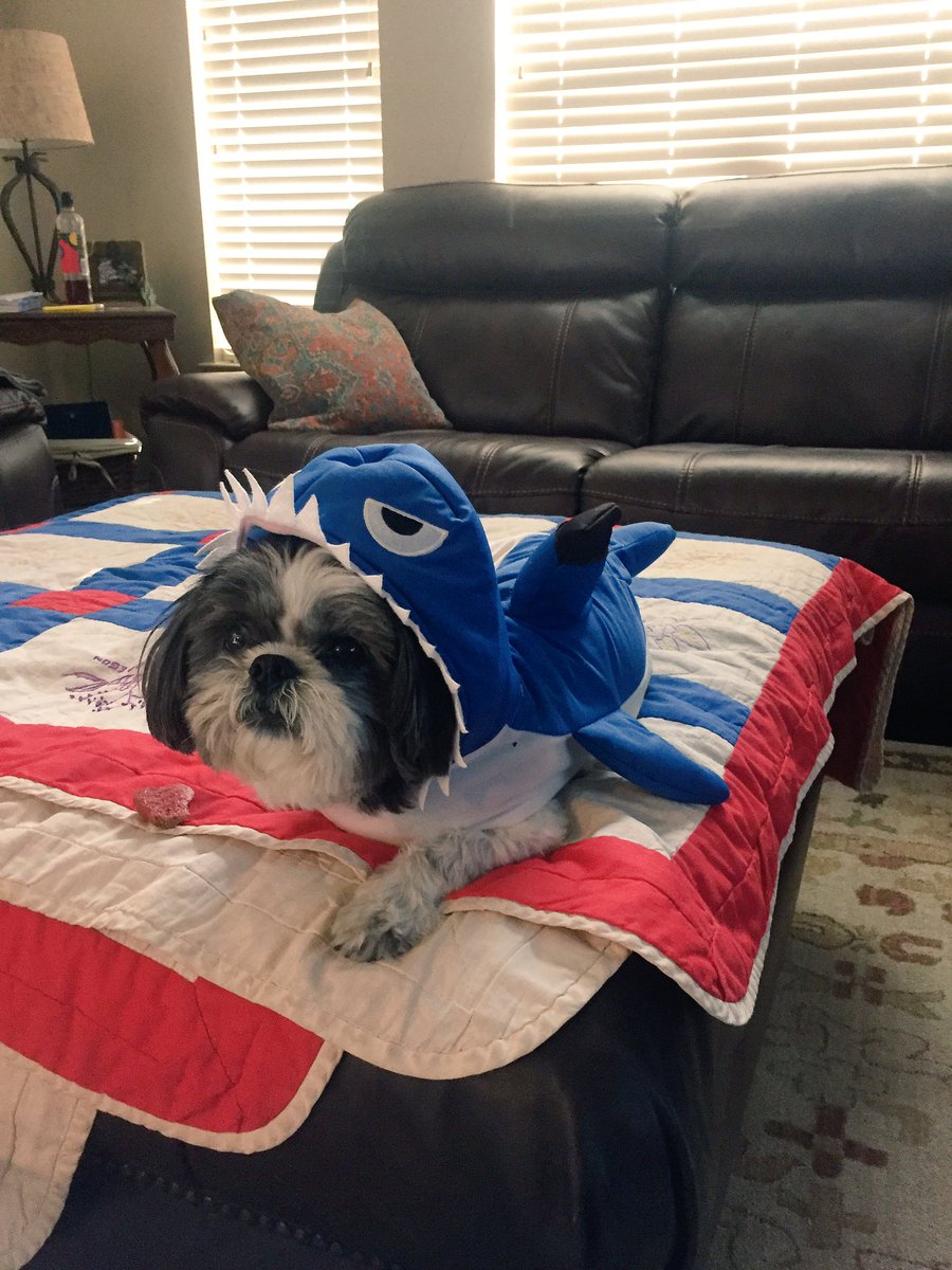CindySommer4's tweet photo. In honor of shark week!! https://t.co/ep9ClMqVKx