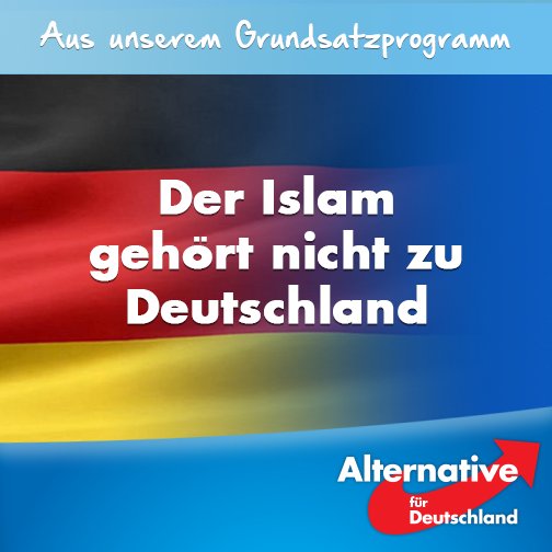 Richard Mol tweet media