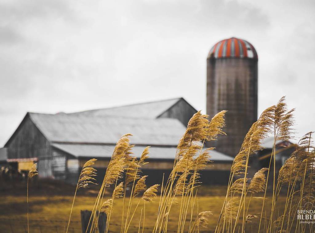 MY CANADA
#CanonCanada150 
copyright Brendan Albert Photography 
#torontophotographer #landscape #photo #pic #onta… ift.tt/2vRR98D