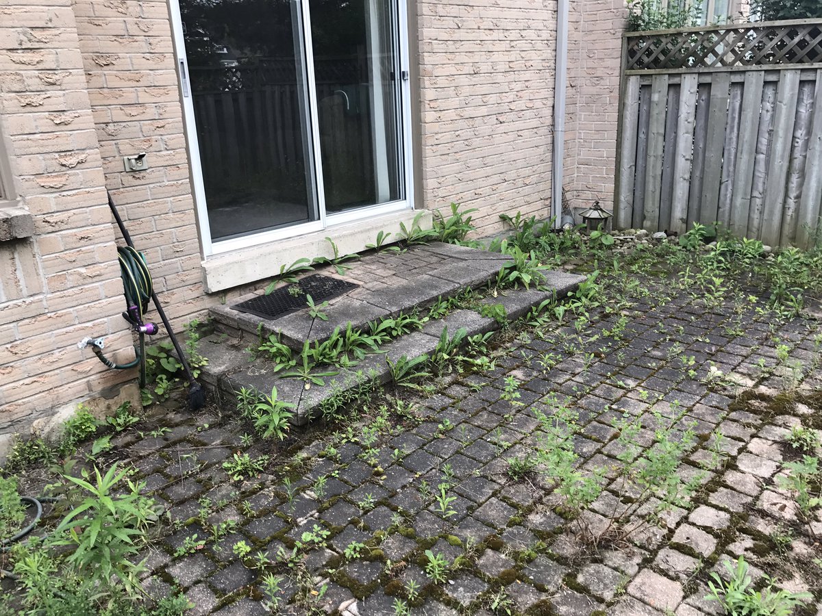 Shawn neil tweet media