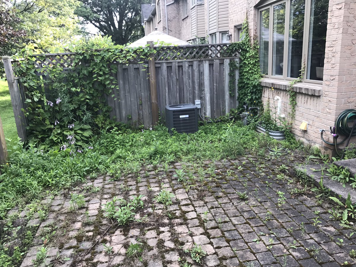 Shawn neil tweet media