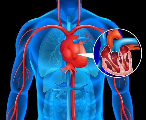 We use state-of-the-art diagnostics to locate declining bodily functions that may be slowing you down! Learn more: ow.ly/A1JK30dZKok