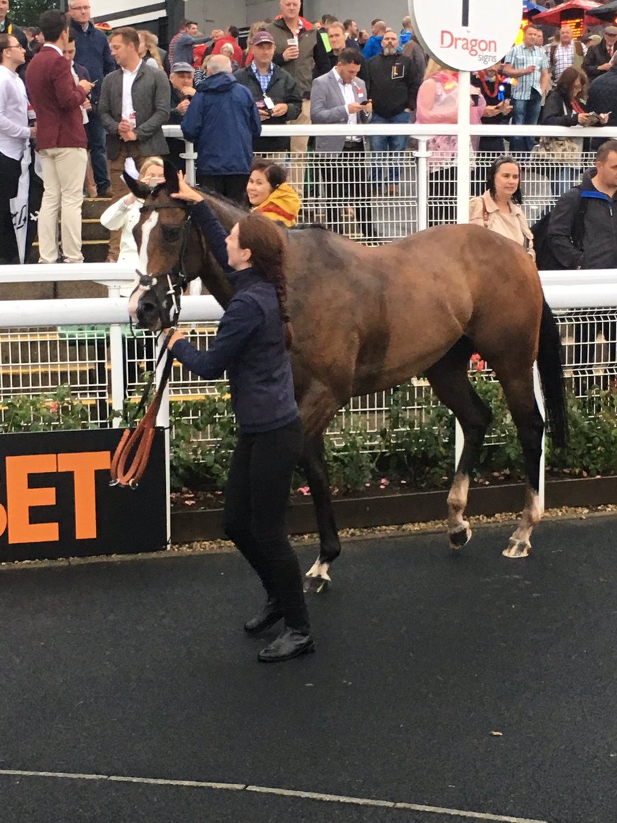 Chepstow_Racing's tweet photo. Fifth Race 7.50 - The @BathwickTyres Newport Handicap stakes

1. Kinglami 9/2
2. Seamster 3/1 https://t.co/jdmwrA39Wg