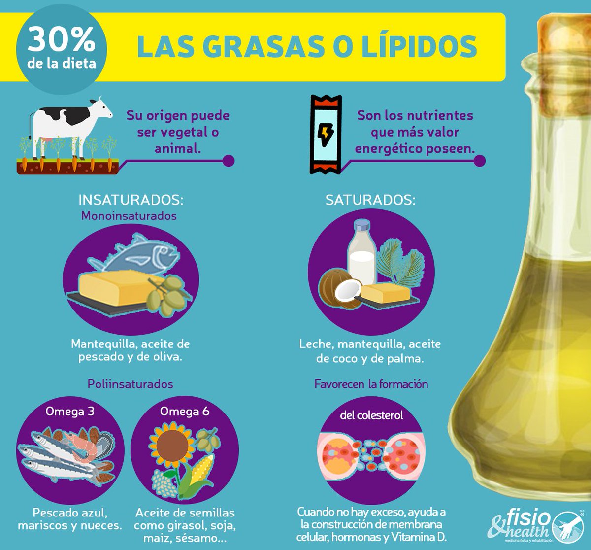 donde se encuentran los lipidos o grasas donde se encuentran los lipidos o grasas