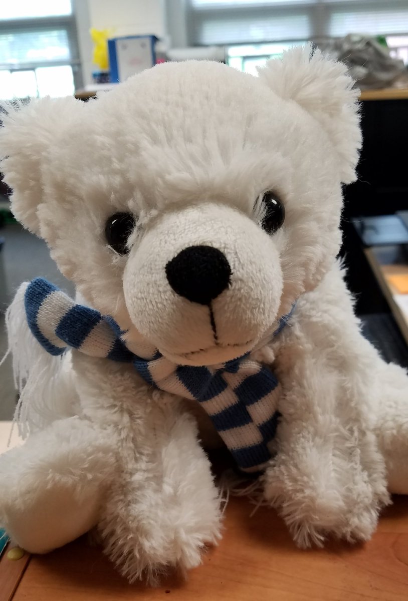 Snowy couldn't be happier.  He's heard that HMS  is now on Twitter!