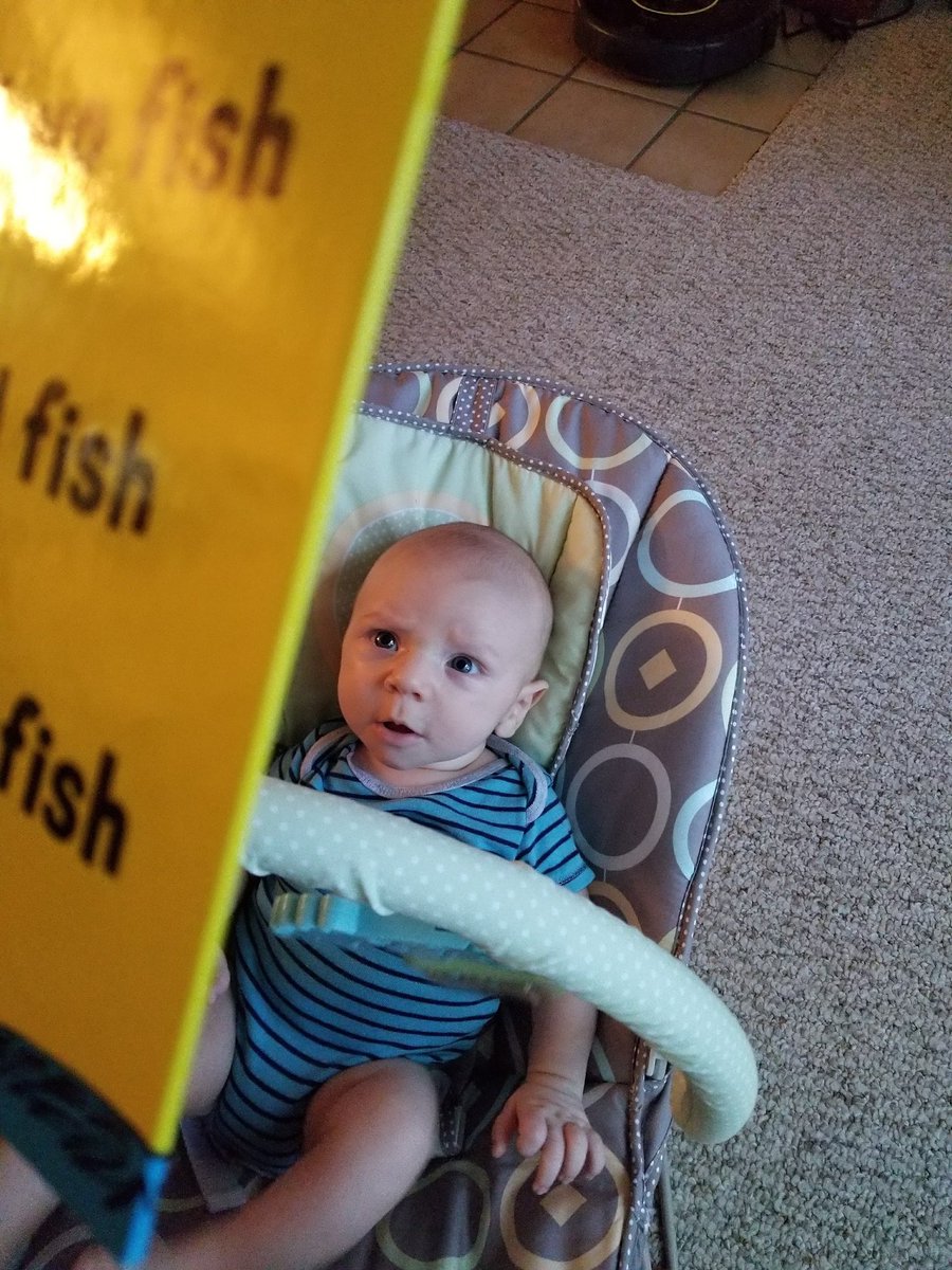 wen_pal2017's tweet photo. Does a red and blue fish equal one or two fishes? #TheMoreYouKnow #AskALibrarian @thelibrarian https://t.co/kJ2D5q5F8L