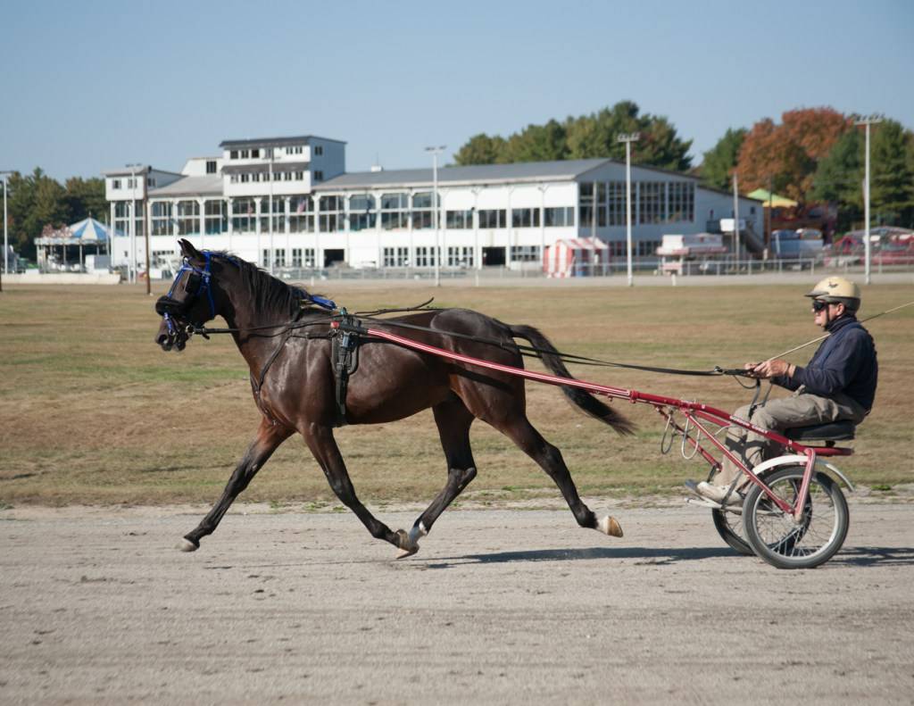 UntamedMainer's tweet photo. Maine's fairs and festival season is here! Check out the full list here: https://t.co/V4wwgVU1R1 #Mainefairs https://t.co/lLd5GK8dh2