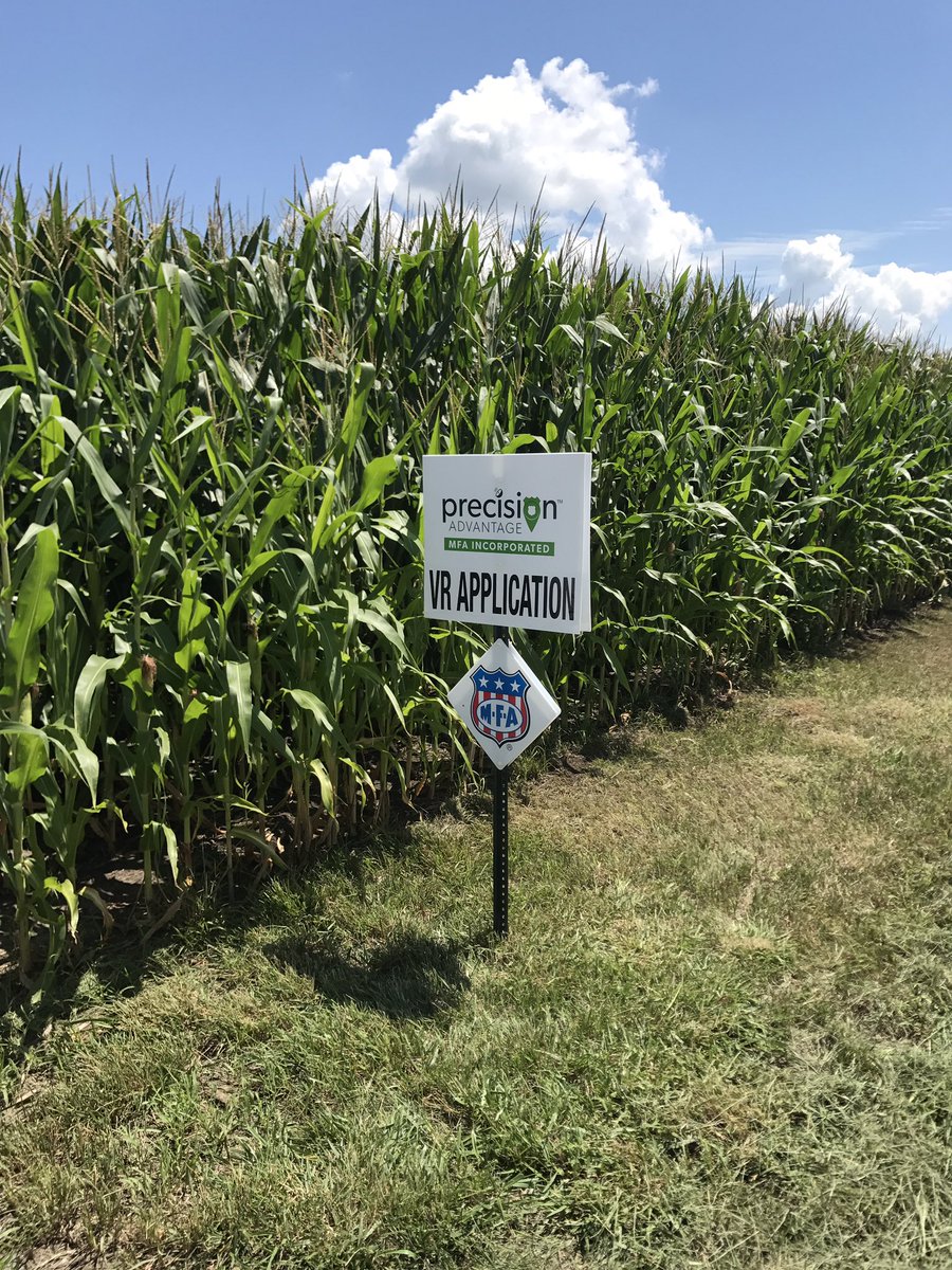 Jared Harding tweet media