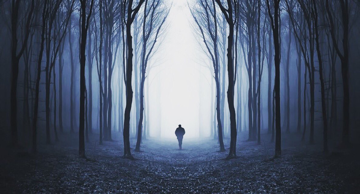 JAllisonAuthor's tweet photo. Through the Triangle Pre Orders start Monday!#throughthetriangle #jallison #bookish #instabook #bookworm #newadult #newnovel #novel #Reading https://t.co/ESBdlYQ4zX