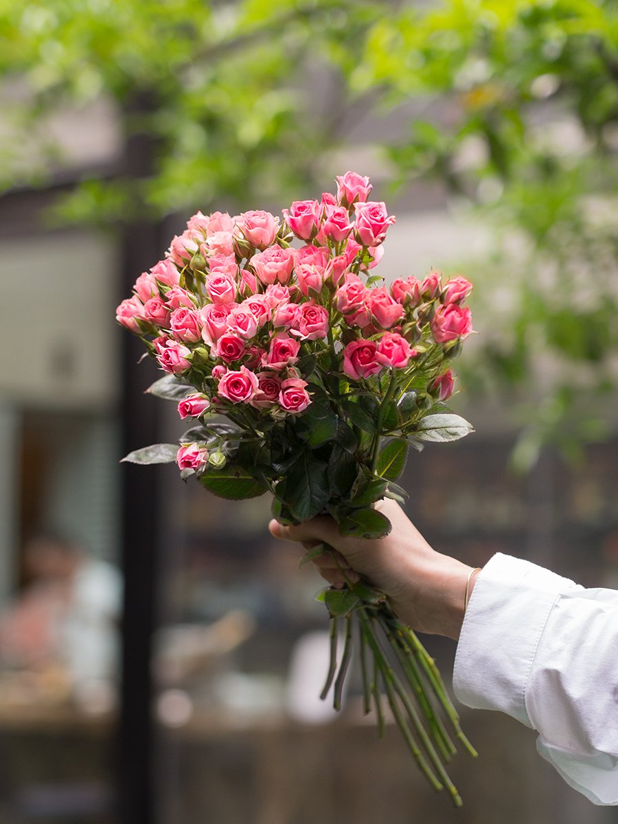 Hoy es tu oportunidad de conocer la Casa. Hasta las 17 hs, los esperamos en nuestra Feria por el Día de la Cultura.