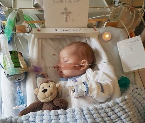 culturadelavida's tweet photo. Descansa en paz, pequeño #CharlieGard. Ojalá algún día aprendamos que cada vida humana, por pequeña que sea, es un tesoro invaluable. https://t.co/n8p7EHMTvi