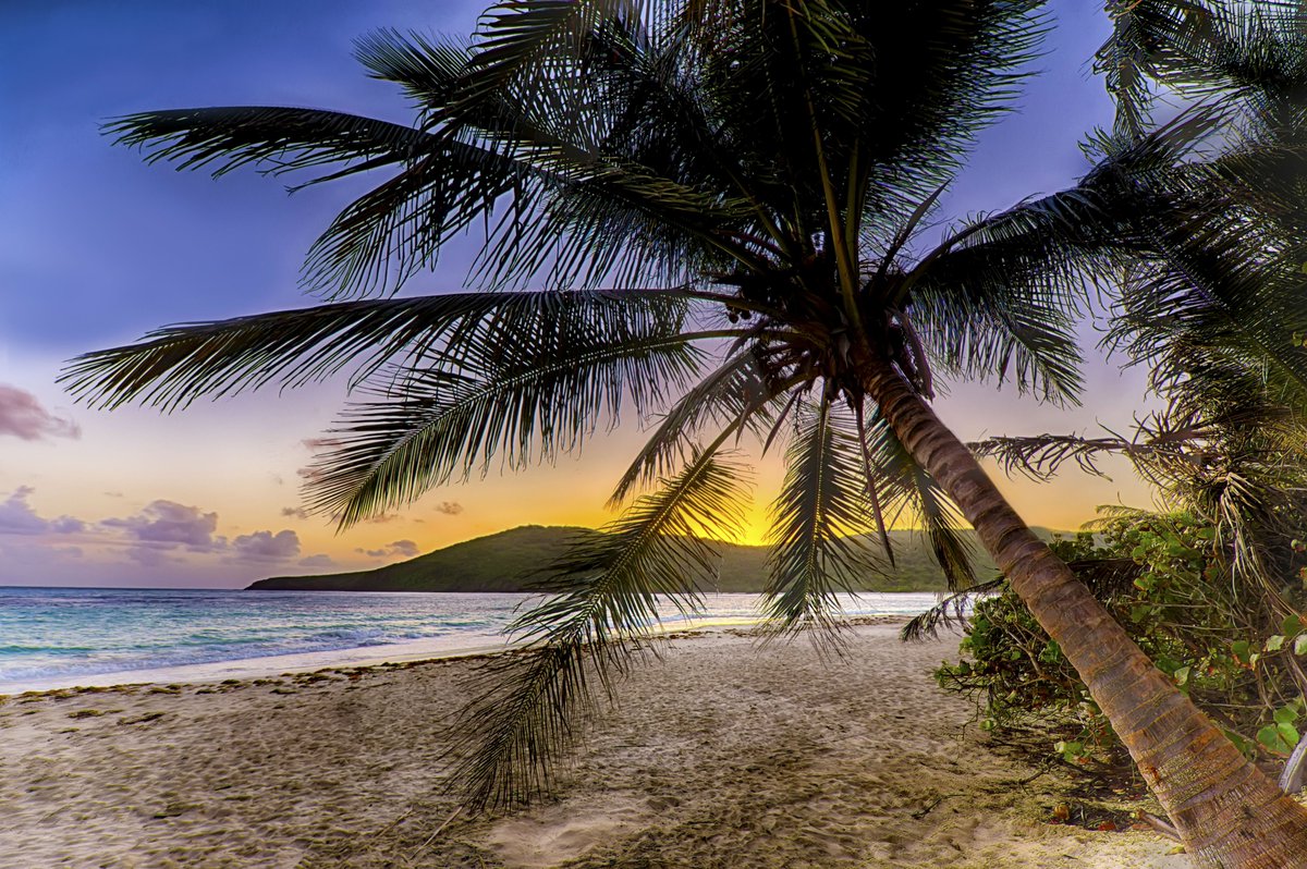 johnephoto's tweet photo. Flamenco Beach, Culebra, Puerto Rico #mkephotographer #photography #johnephoto #puertorico #culebra #flamencobeach #travelgram #palmtree https://t.co/OXbADkWHDC