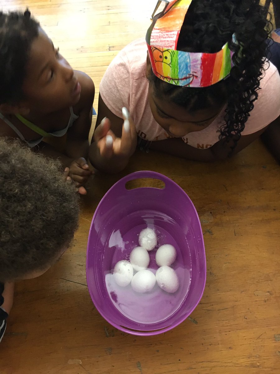 Stephanie Pooler tweet media