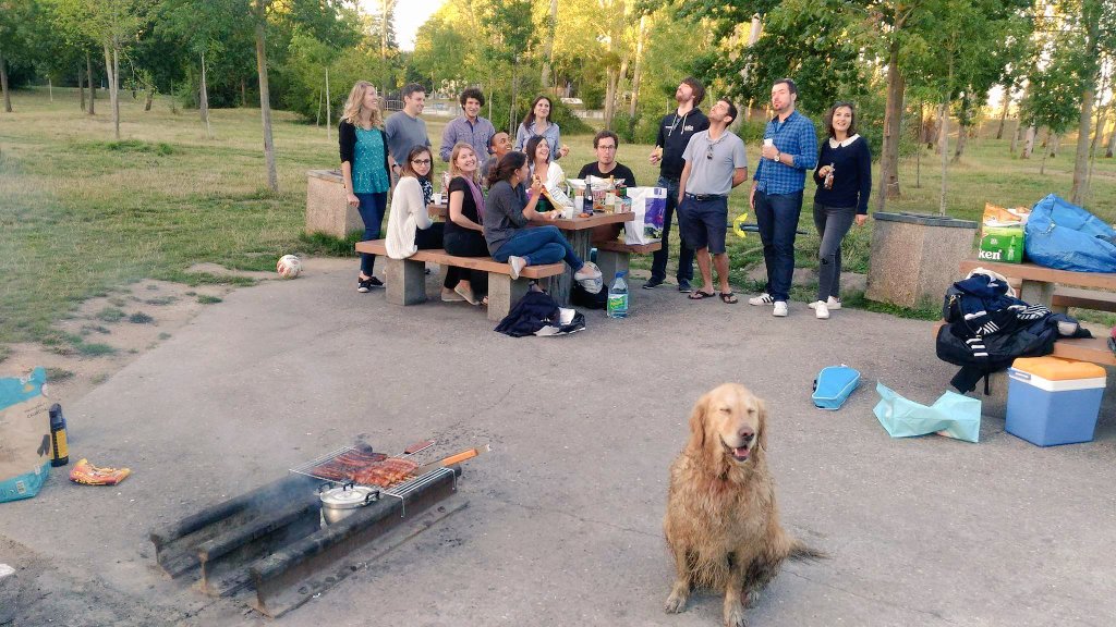 Max_Angers's tweet photo. #BBQ @We_Forge au lac de maine! 
On est bien l'été à #Angers 🐶🍖🍻🔥 https://t.co/LXDAYntqWm