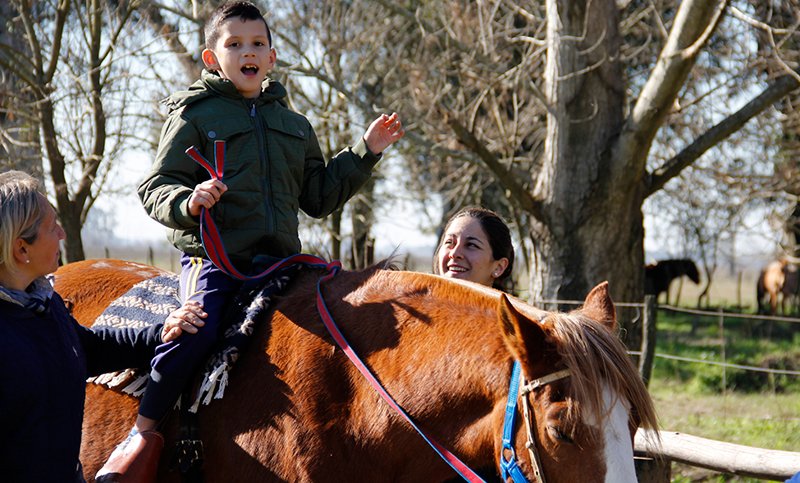 ConclusionRos's tweet photo. #InformeConclusión  🐴😀 El caballo como una función terapéutica en personas con discapacidad ➡️ https://t.co/HyfWJkoL3K https://t.co/YlOIybLyCN