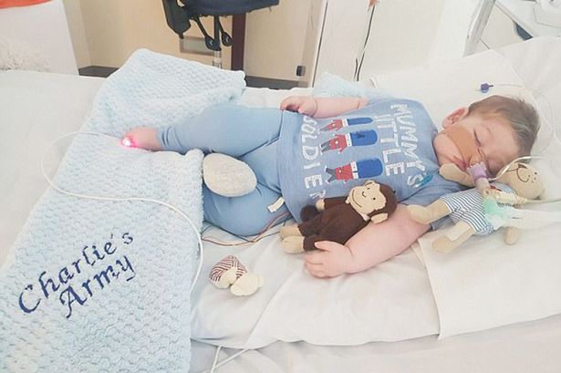 Girls_bitchess's tweet photo. #charliegard #charliefight descansa en paz pequeño, que mal por las leyes que no dejaron que vivieras. https://t.co/uigqT8Z5lM