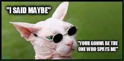 jeffdahkillah's tweet photo. 😹😹😹😹 https://t.co/zKFUB7tgiJ