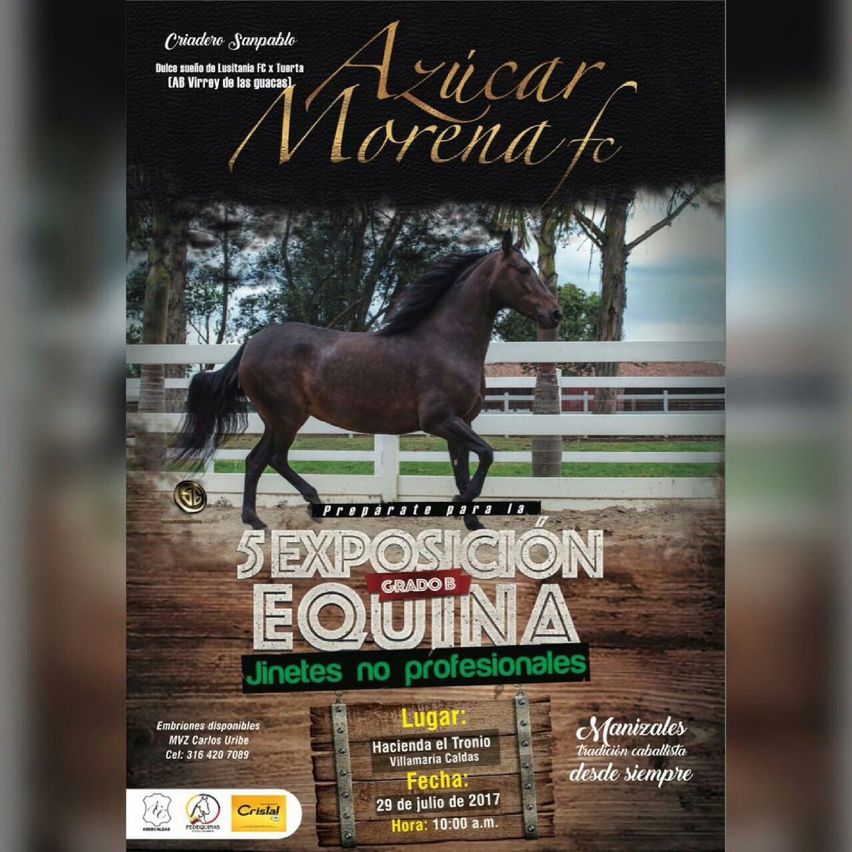 FedequinasOrg's tweet photo. Los invitamos a que hagan parte de la 5ta Exposición Equina #GradoB que se llevará a cabo mañana en la Hacienda el Tronio! @asdecaldas https://t.co/bFb4k0a66J