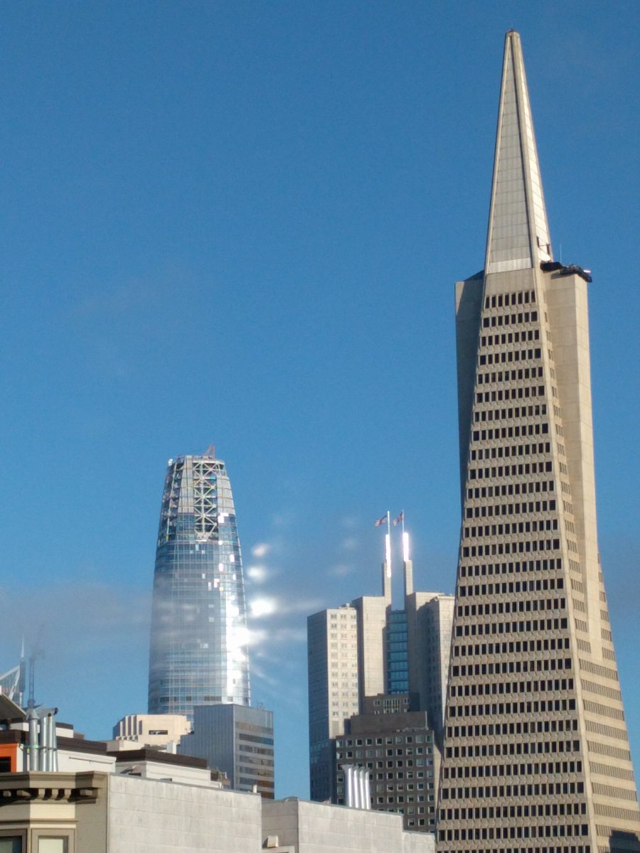 TheWarmSpot's tweet photo. @KarlTheFog shining bright like a diamond off #salesforcetower https://t.co/Xuw2bDgeAe