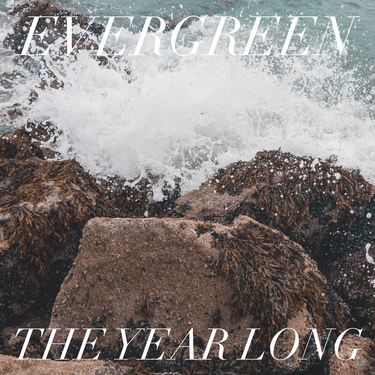 tmprecordsllc's tweet photo. @theyearlong - Evergreen- Preorder https://t.co/P3fB9khqav #tmprecords #theyearlong https://t.co/boLC27VGfd