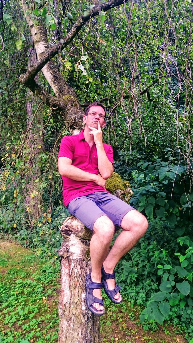 ChannelPogSz's tweet photo. #pogsz #vacation #SupportSmallStreamers Here I am up in a tree in Hungary, thinking about some goofy things to stream when I am back https://t.co/4YtHCpMZuJ
