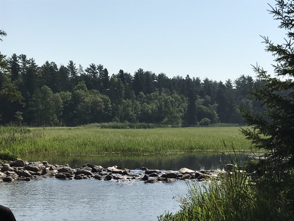 kraleigh72's tweet photo. @sorensensci @dragan39 @ruggedbronze @ChemEd2017 @KristinGregory7 @pyrochemteach Headwaters of the Mississippi River https://t.co/dreCoYdZyd