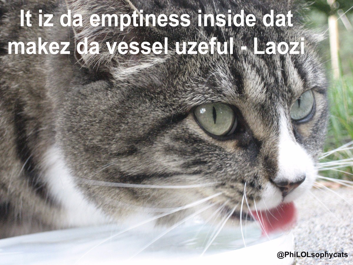 PhiLOLsophycats's tweet photo. It is the emptiness of the text box that makes Twitter useful. #laozi #Philosophy #lolz #china https://t.co/UN9GlBl0Rt