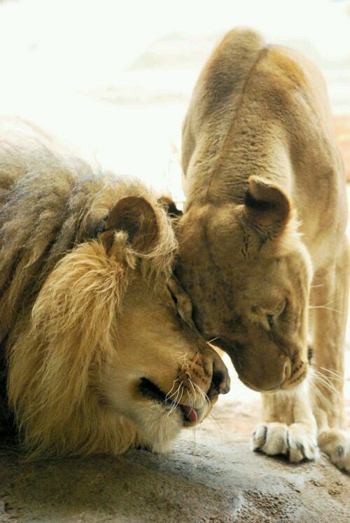 <a href="/AndreiAndrei63/">Andrei</a> 🐾💞🐾😍