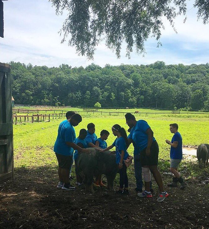 JuiceGeneration's tweet photo. We had such a great time @CASanctuary today with our campers from @HarlemGrown! #growingback https://t.co/riWqH3ilCE