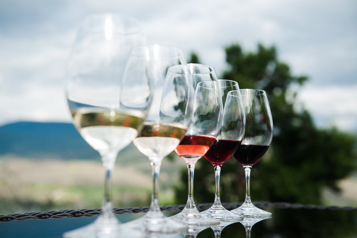 SYLRanchWinery's tweet photo. All the colours of the (wine) rainbow π Have you entered our #SYLsummer contest yet? Detail below. https://t.co/GH7tLMJ2r1