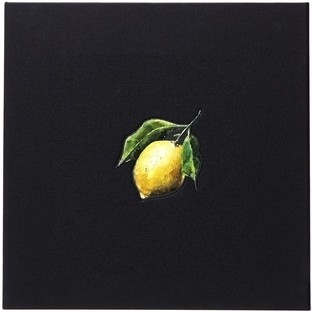 BeyLegion's tweet photo. Pre-order "How To Make Lemonade" Box Set including a 600+ page hardcover book &amp; LEMONADE Vinyl: https://t.co/R77l84i3Vh https://t.co/VagthfsAPz