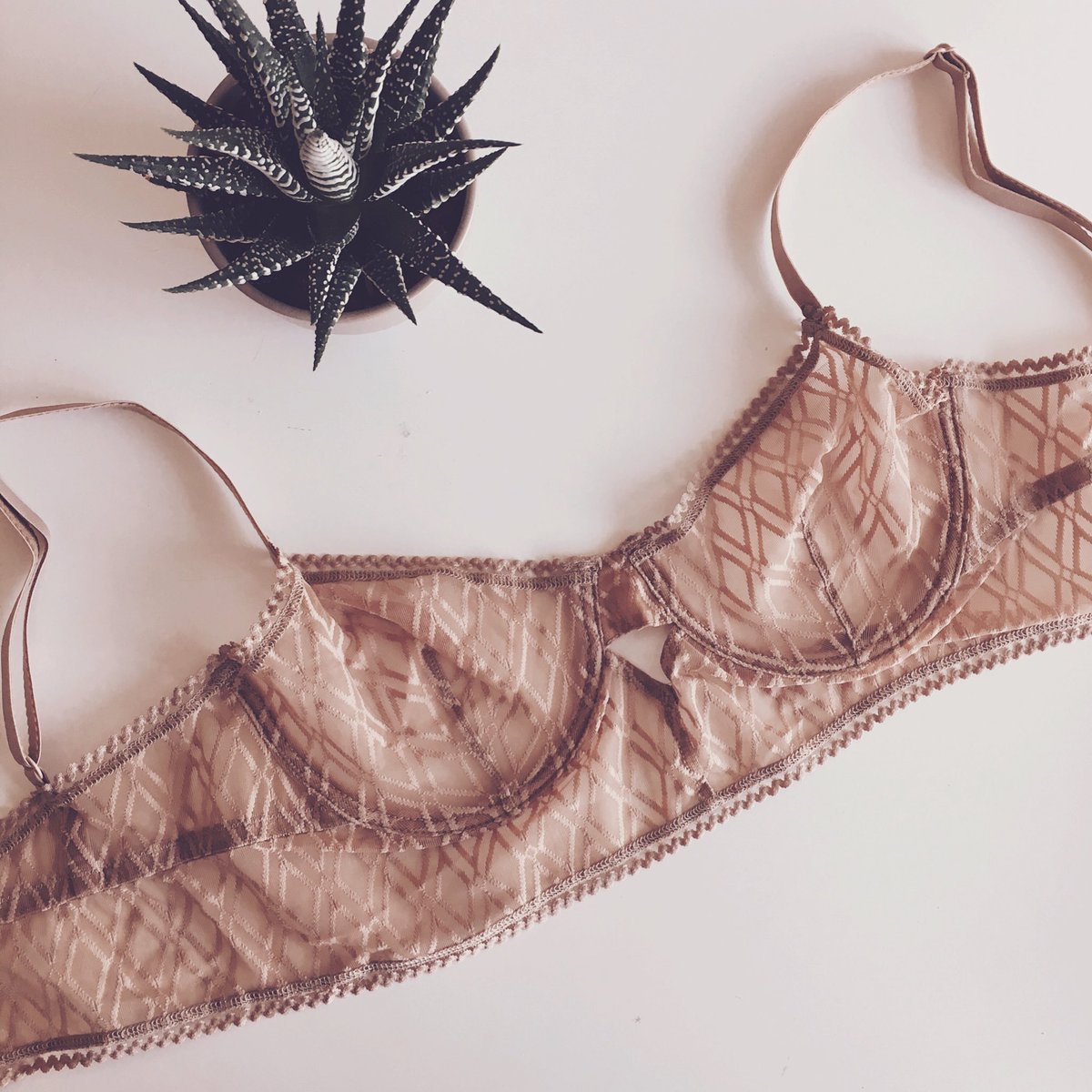 Baklava longline bra is on sale ❤️ Shop: findingrosie.com/products/else-…
#style