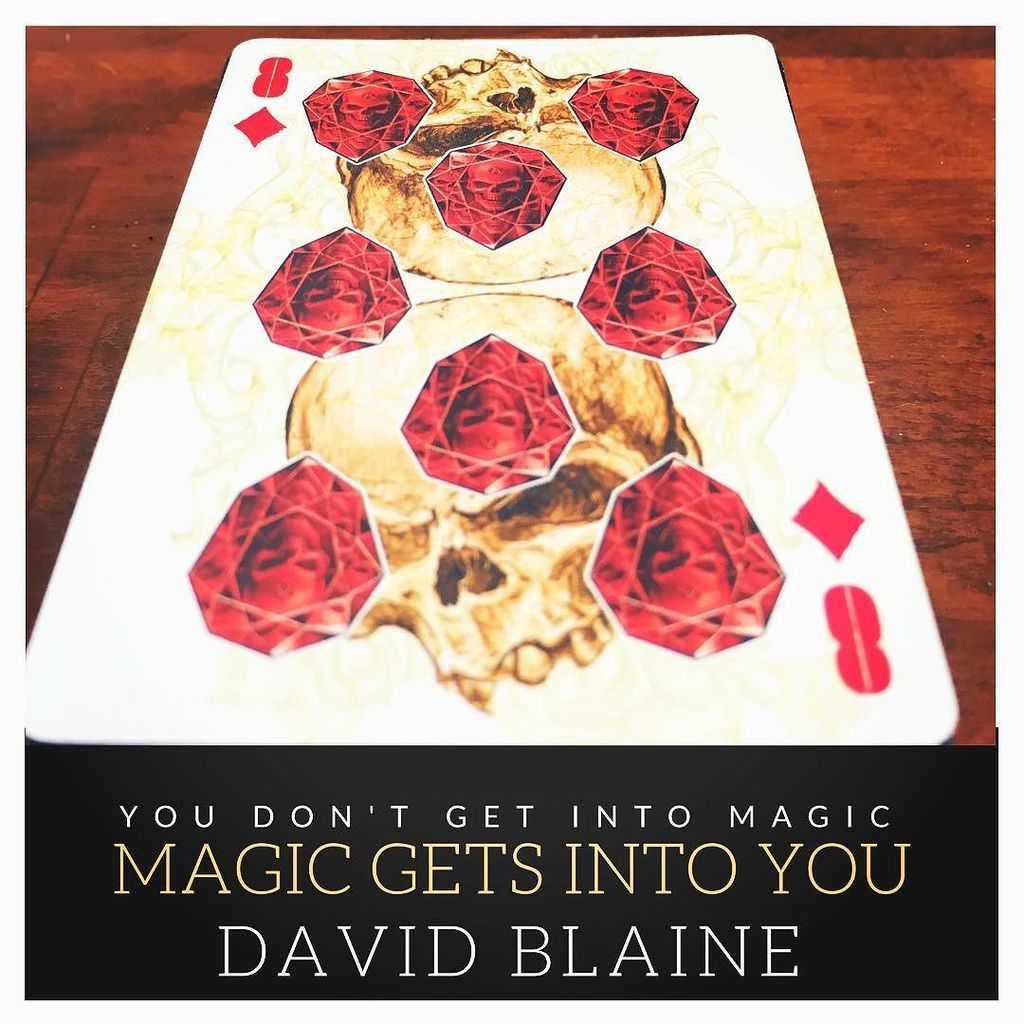 colinjholt's tweet photo. You can't argue with @davidblaine on this one #52friends #magic #playingcards https://t.co/m9sBMRUIqT https://t.co/omjifQG8J8