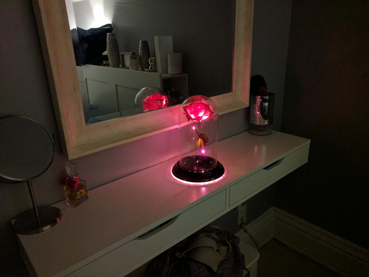 ElizaWMurphy's tweet photo. Couple tries to outdo each other with surprise date nights. DIY enchanted rose + 'Star Wars' = #relationshipgoals! https://t.co/f7DKMxcphV https://t.co/g0TaFohSdD