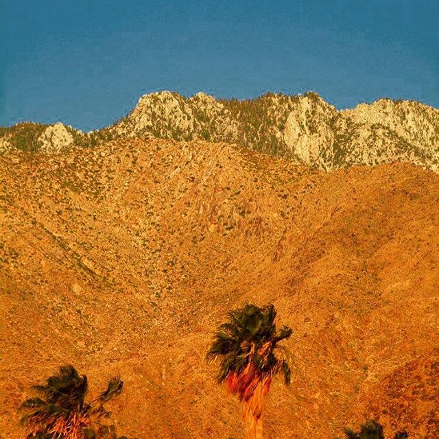 REPOST: The view from @themonroepalmsprings hotel 👌🏼#firecolors #sunset #warmweather #palmtrees #palmsprings 📷: <a href="/cc/">cc</a>.concept.gallery